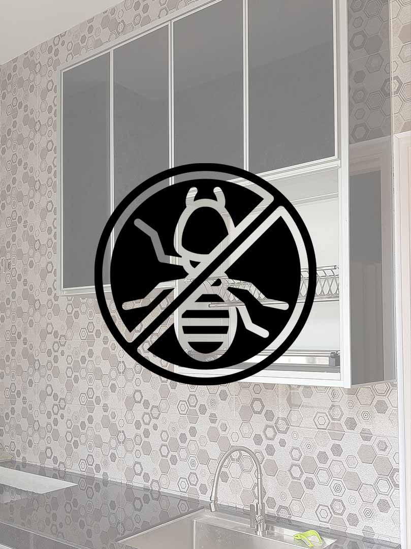 Termite-Free